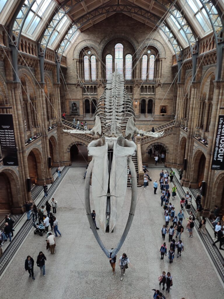 Het mooie National History Museum