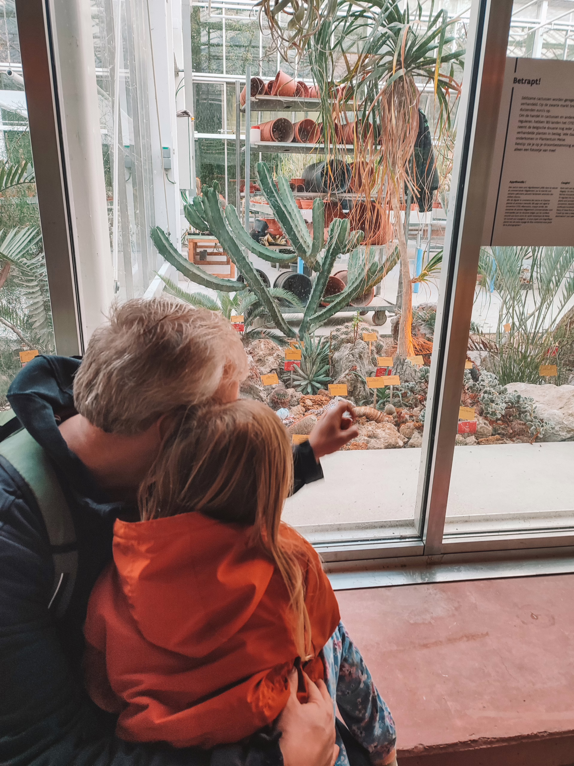 Plantentuin Meise met kinderen: een top uitstap voor elk seizoen